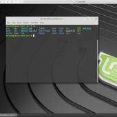 Setting up LAMP server on Linux Mint 19 and downgrade to PHP 7.1