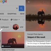 Google Images’ ‘Licensable’ Badge to Help Photographers Sell Photos