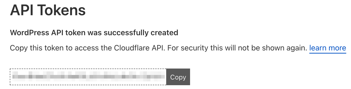 cloudflare API token